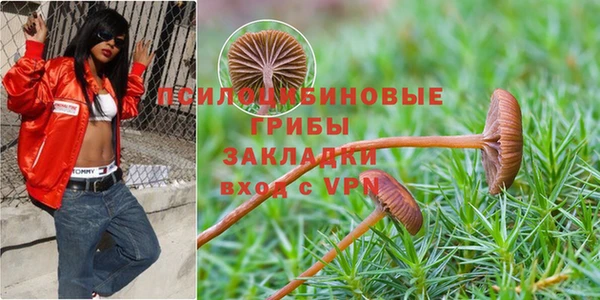 мяу мяу мука Абдулино