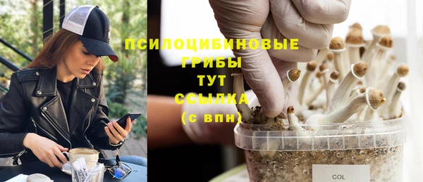 герыч Абаза
