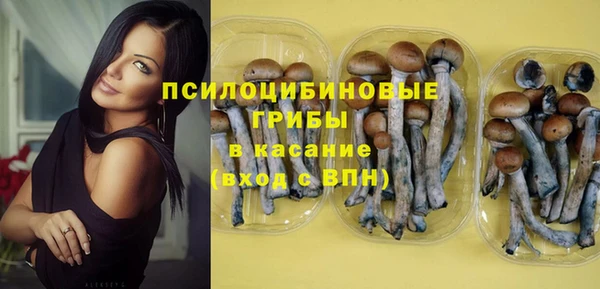 спиды Алексеевка