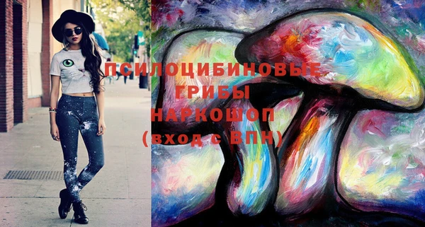 спиды Алексеевка