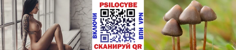 Галлюциногенные грибы Psilocybe  мега ССЫЛКА  Лабытнанги 